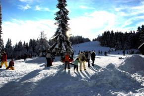 Sparziergang im Schnee